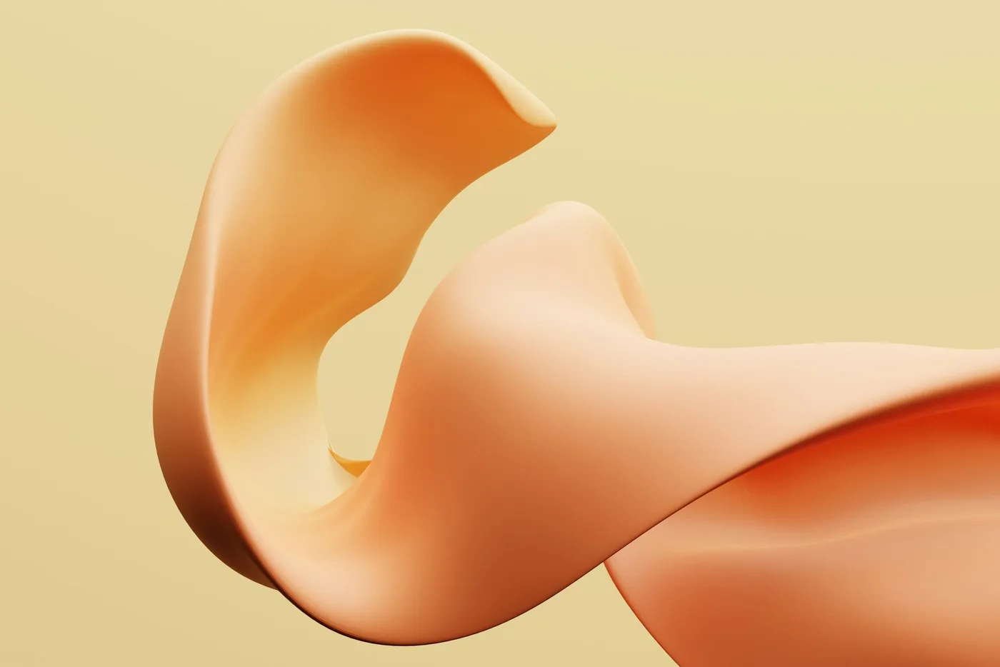 A soft, flowing abstract form in warm peach tones.